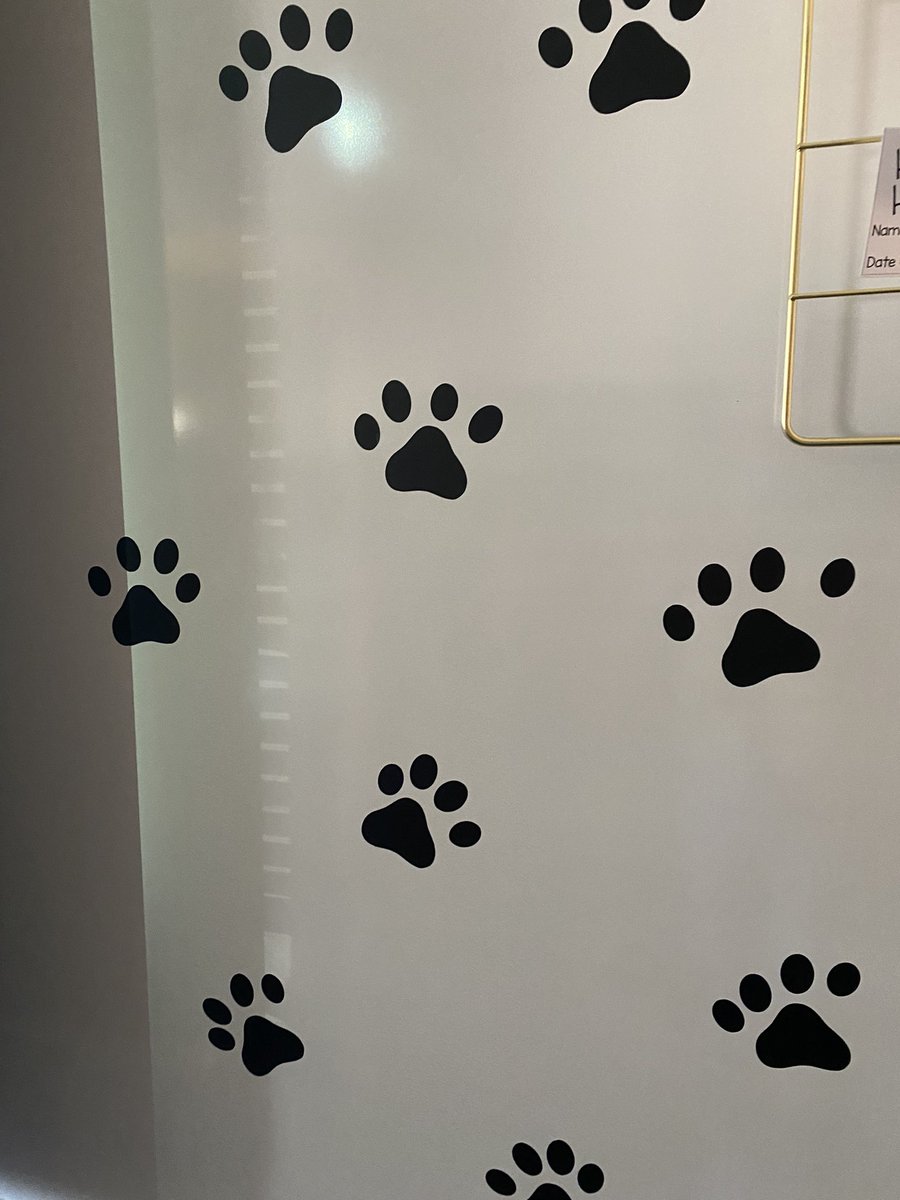 Andrea Manos tweet media