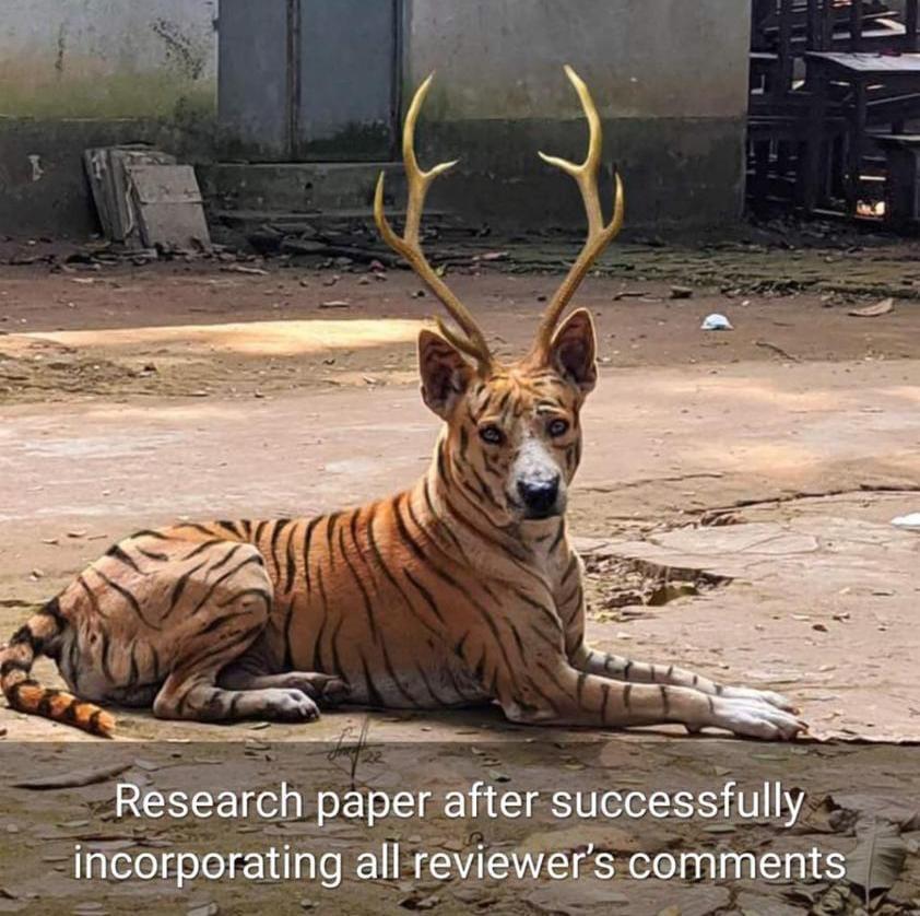 Oh We are Back 😀 #orthotwitter #orthotv #orthopaedics #orthopods