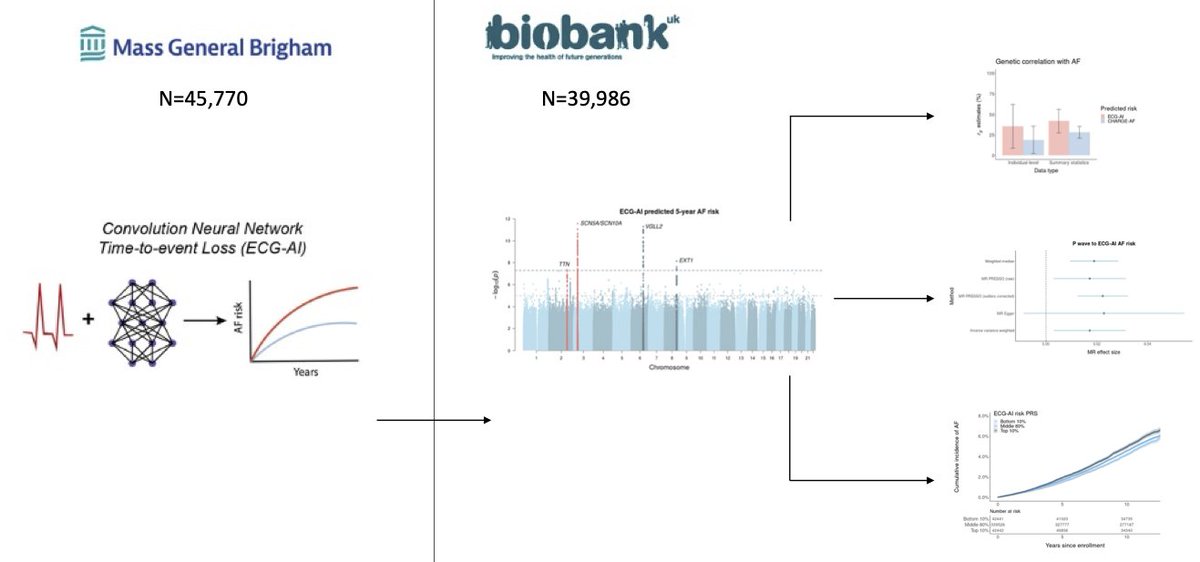 Xin Wang tweet media