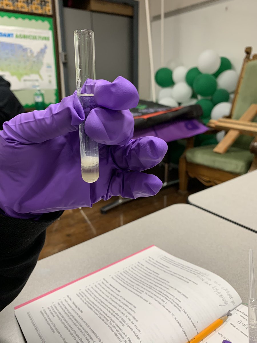jesslkeefer1's tweet photo. Extracting banana DNA with @LHSIrish Intro to AFNR students was a success!! https://t.co/7zkWnTsFsF