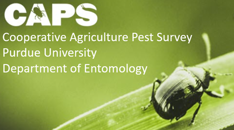 Apply now! We're looking to hire a qualified candidate as the Indiana Cooperative Agriculture Pest Survey Coordinator.

Accepting applicants through February 10th!

More information can be found here: entm.purdue.edu/entmnews/apply…