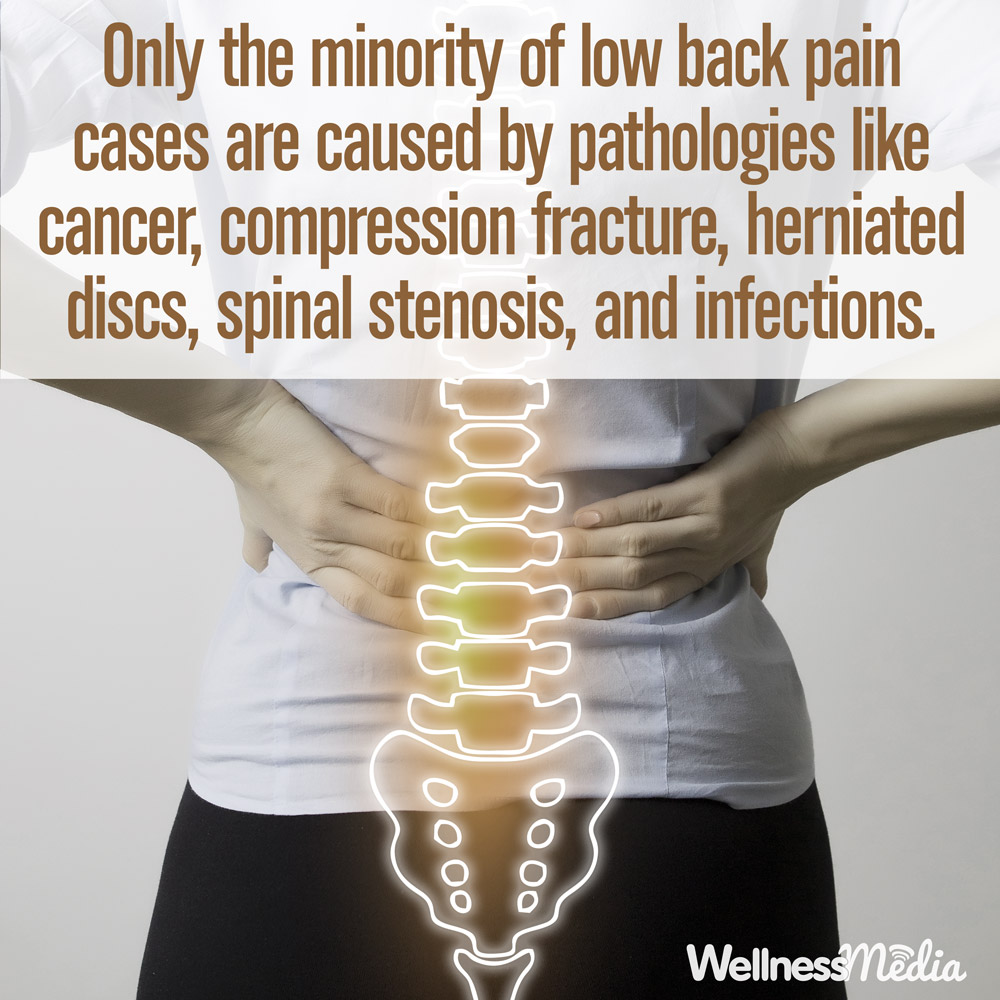 Pray_Chiro's tweet image. AVOID SURGERY with safe, natural Chiropractic!