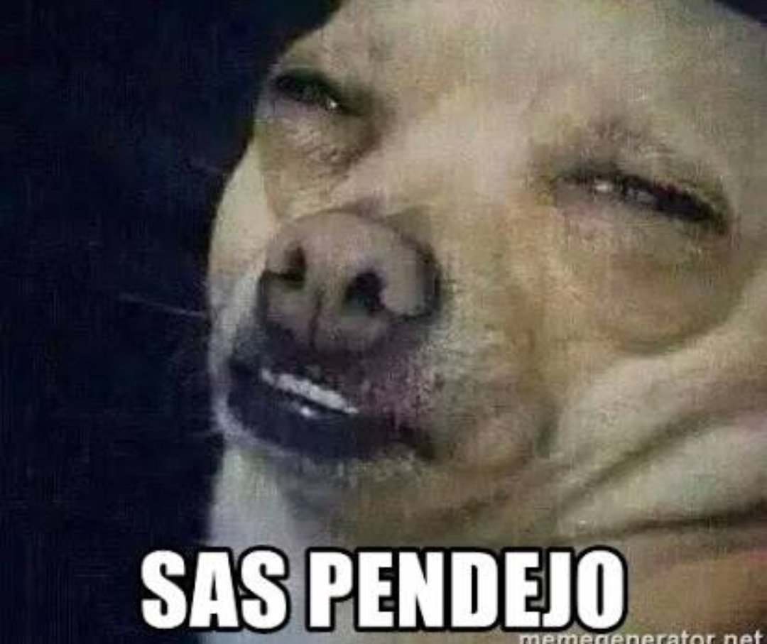 maia_kaizen's tweet photo. @TrujiYo Claro, ajá! ¿Y de dónde salen esos bonos de S/ 1,000.00 ? del E°? Ay paaarfaaavooor!! Hay que ser bien ingenuos o 🤏🧠 para no 👀 ello.

👉 Y claro, "flashback"; #AFF sí tenía que conocer todo porque era el Jefe de las FF.AA. y "bro." de sus empleados...

✍✍ https://t.co/EoWcR9RCt3