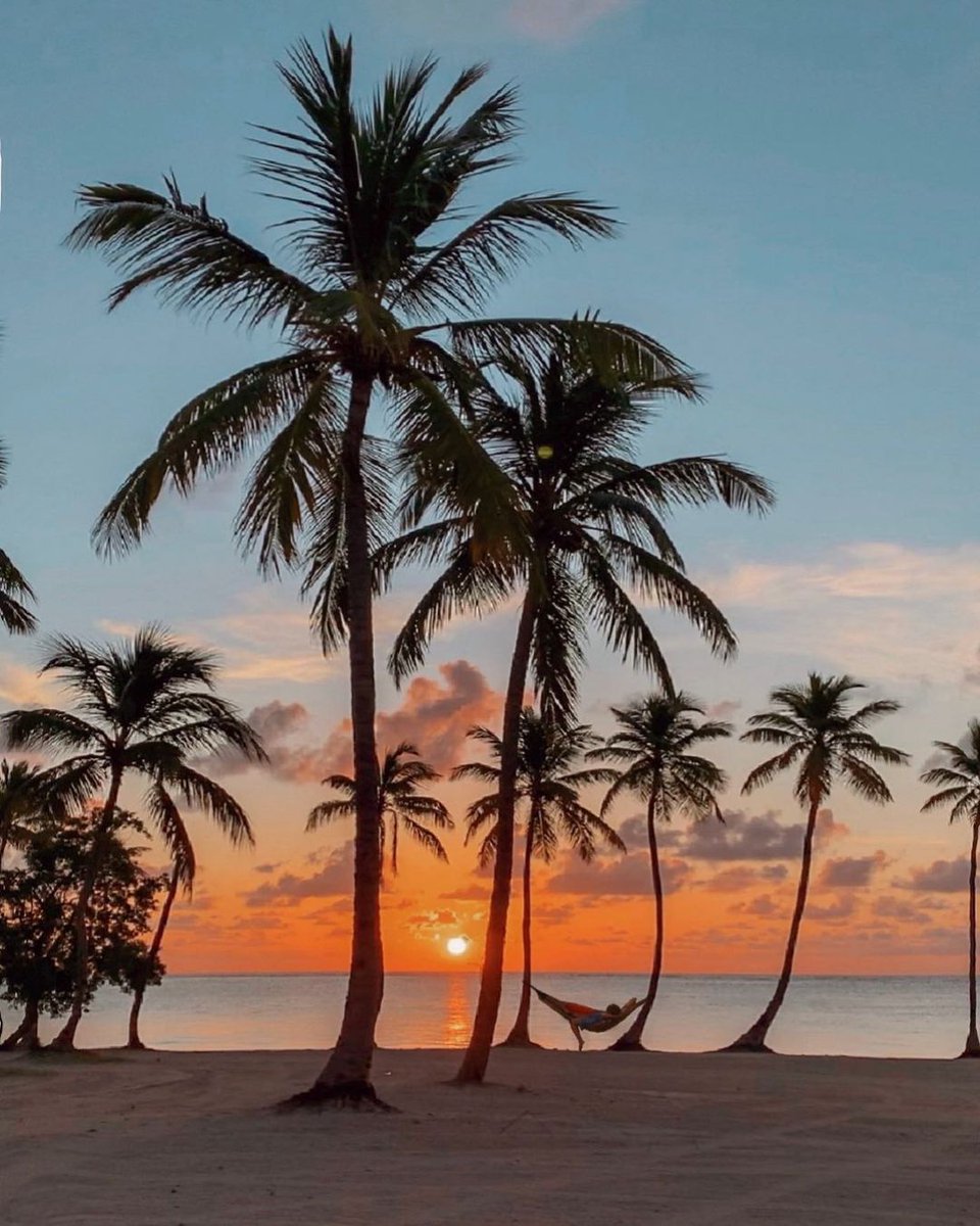 sertumore's tweet photo. Punta Cana, Republica Dominicana https://t.co/o1E3rH10e9