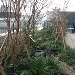 ツイートに含まれる画像