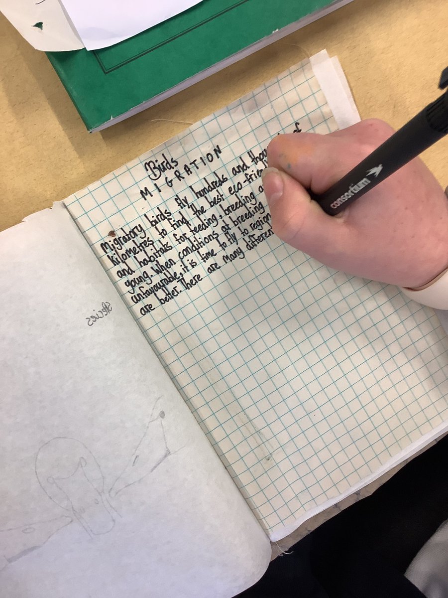 BosburyPrimary's tweet image. Class 5 are filling in their scientific journals with their research about migratory birds after their visit to Slimbridge WWT. 
@WWTSlimbridge @WWTworldwide @Natures_Voice @HDioceseSchools