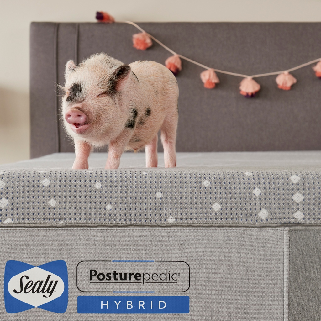 usmattress's tweet photo. Happy Friday! Enjoy your weekend and catch some extra ZZZs! #naptime #weekend https://t.co/GEHLyqZ1bb