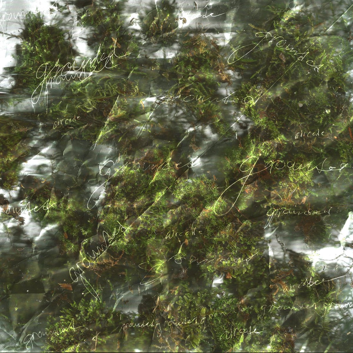 Out today! <a href="/aircode_/">aircode</a>'s debut album 'Grounded' is now shipping 👽

Mastering by <a href="/harrymurdoch/">hmurd</a>
Artwork by <a href="/aircode_/">aircode</a>

Cds + digital alienjams.bandcamp.com/album/grounded
