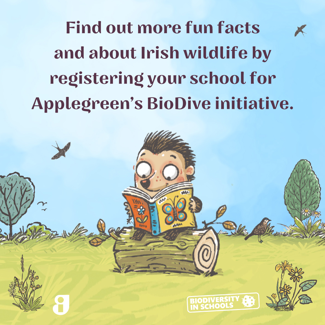 goapplegreen's tweet photo. Have you registered your school to take part in BioDive yet?🦔
124 lucky schools will be chosen to take part in this competition to win a garden worth €10,000 - so make sure to register your school before February 4th🌳
To register: https://t.co/85lywlECap
#Biodive #Biodiversity https://t.co/dBDuBVjxOC