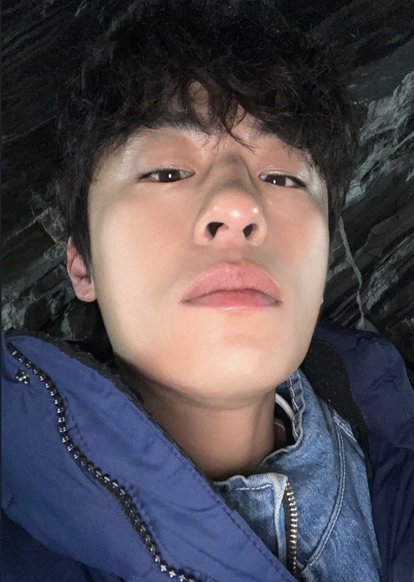 나 진짜 궁금한데 나무는 왜 맨날 인스스로 올림?ㅜ