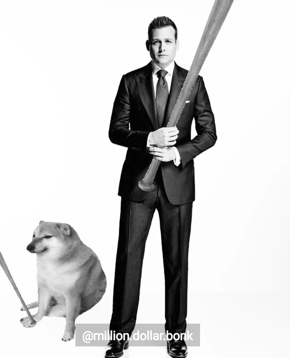 Rule number 1 : never disrespect me 
Rule number 2 : I'm a smart fella yuor'e a fart smella 
#DogeBonk #memecoin $DOBO #crypto