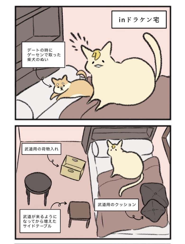 ドラの部屋に自分のモノが増えていて嬉しくてたまらないにゃんこドラ武 