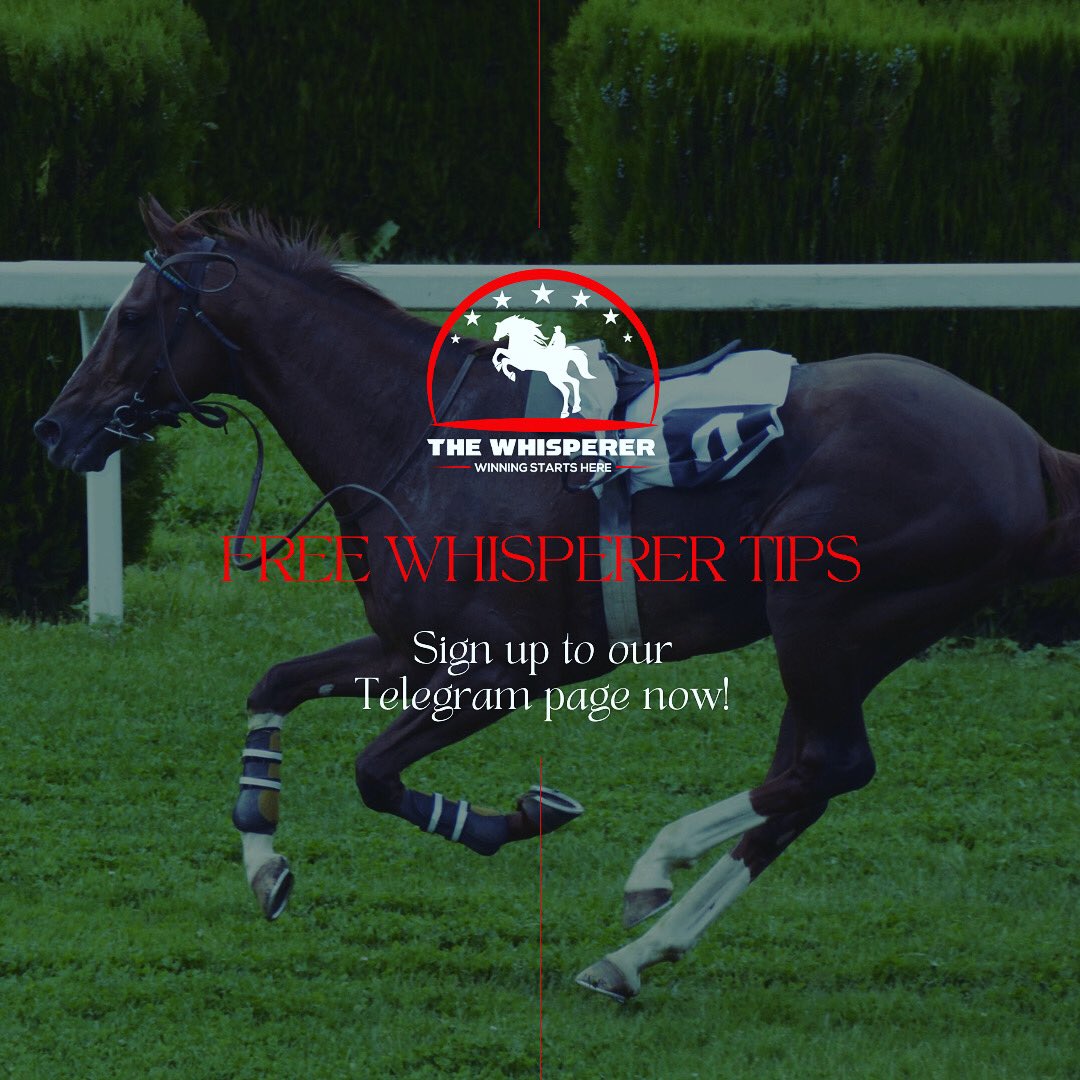 WhispererTips's tweet photo. Sign up today to our Telegram page and get the very best horse racing tips online. 

We have it covered just for you. 

👉 https://t.co/S55ASxEDK7 

🐎Come on Winning Starts Here🐎 

horseracing #horse #horses #thoroughbred #horsesofinstagram #racehorse #jockey #racing https://t.co/qsIG4juWaX