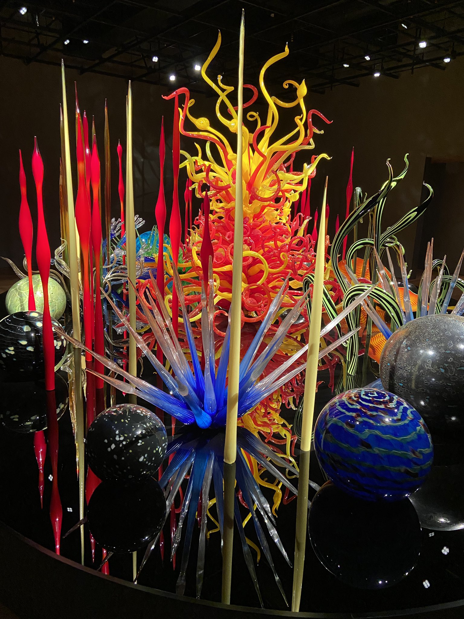 Dale Chihuly / Chihuly on Fire デイル・チフーリ ガラス 工芸