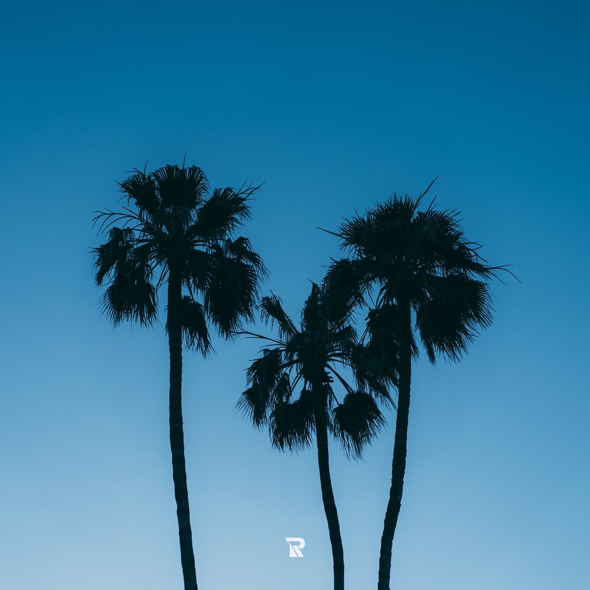 RISEMediaAsia's tweet photo. “Beneath the sunset skies tall, silver-shafted palm-trees rise.” ― William C. Bryant. https://t.co/jnnRZrVcwX