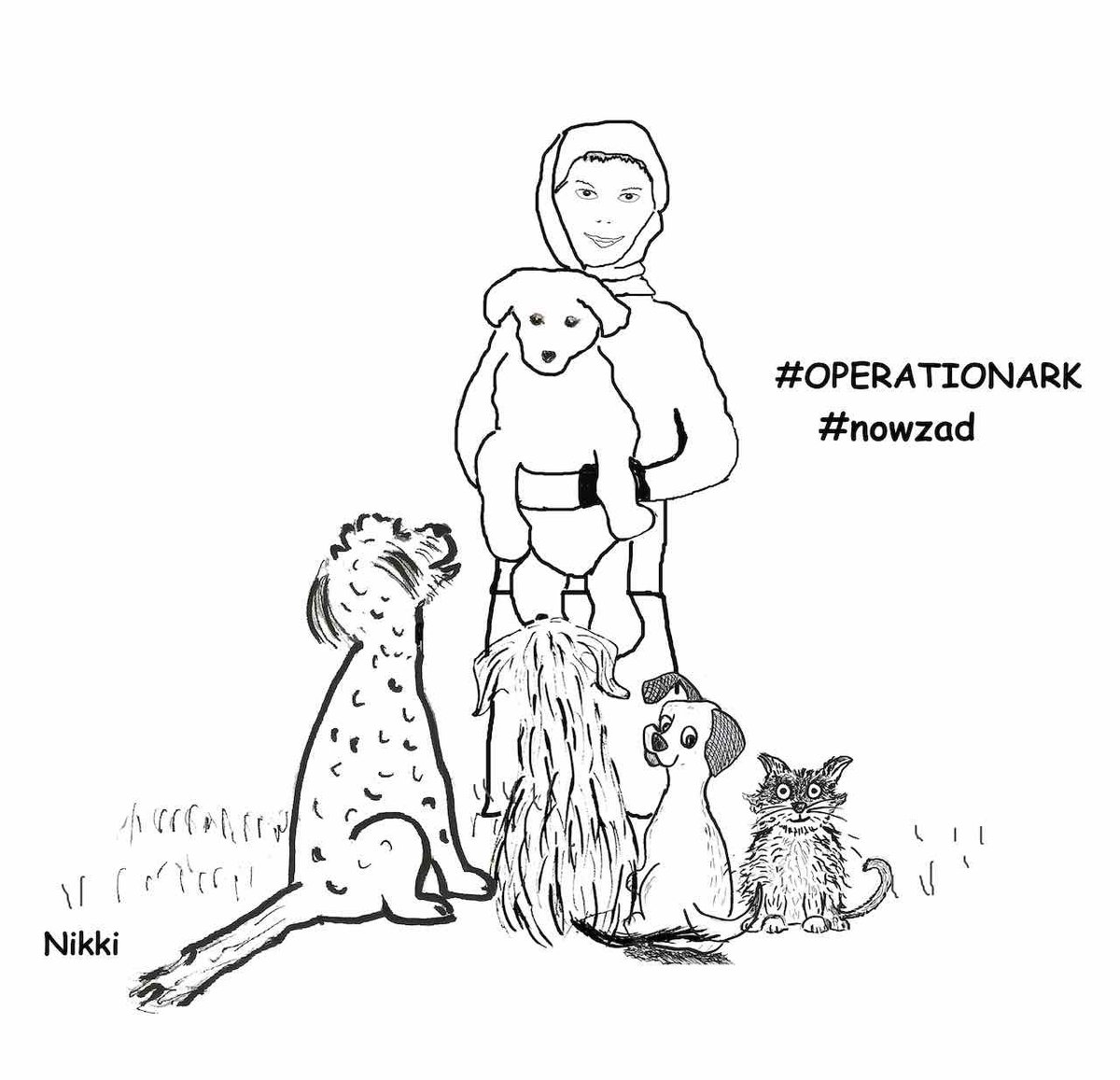 #TruthMatters Many support you @PenFarthing and we know the truth #operationark #nowzad Read statement on the Nowzad website nowzad.com/news/article/s…