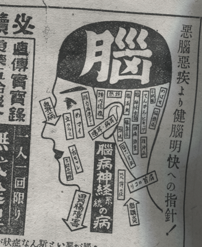 脳 