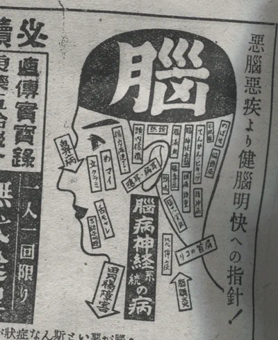 脳 