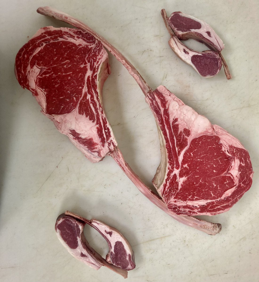 daveyhubb's tweet photo. @Wutspinner Perspective tomahawks > Lamb Chops #muchlarger https://t.co/Hri6i2RZ2A