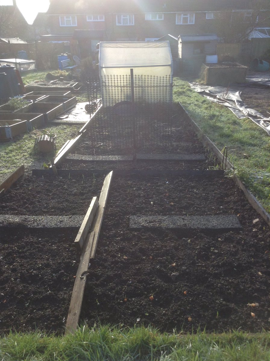 Lucy78Goose's tweet photo. Organising the plot. Ready for #spring #allotment #GYO #gardening #love https://t.co/mHqTOyb6V1