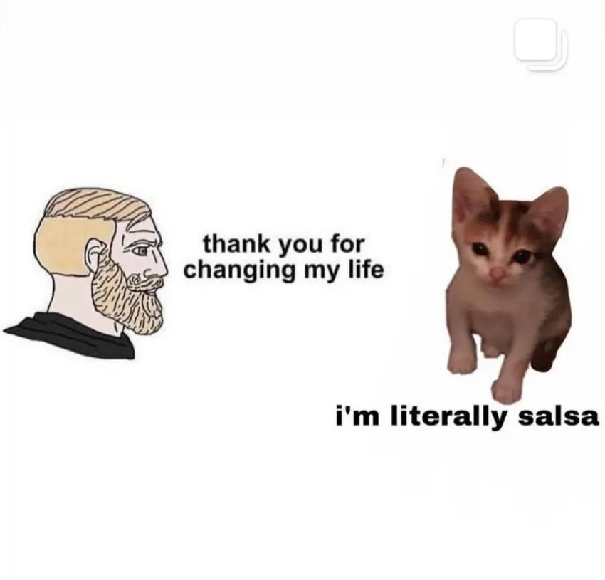 sienisoppa1's tweet image. #freesalsa