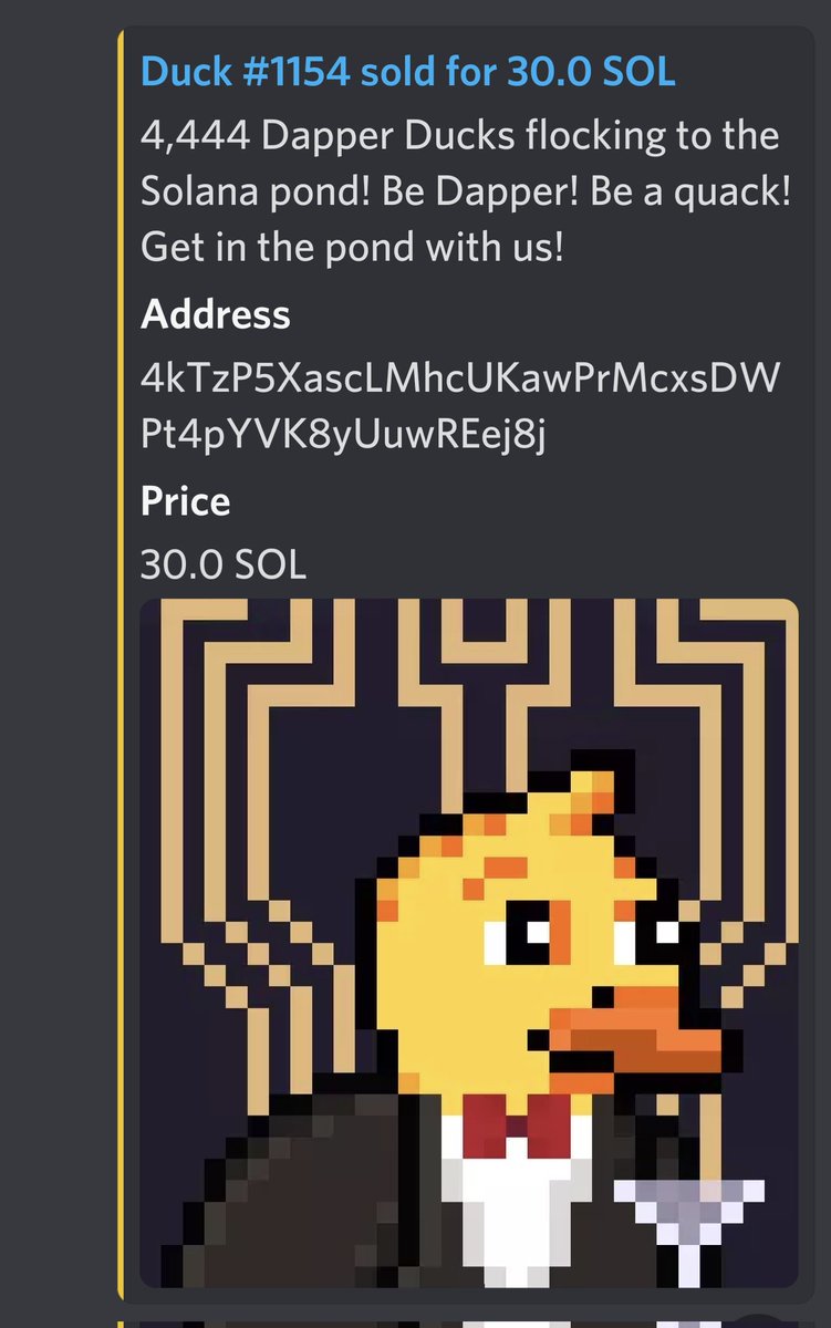 QU4Xnft's tweet photo. Probably nothing....
Still most undervalued project out there!

#duckgame #SolanaNFTs #SolanaCommunity https://t.co/zRZbUT0BIP