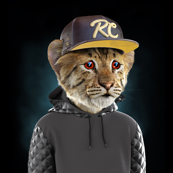 somenftdude22's tweet photo. Already got my cubs - what about you? 🔥

Get in while the floor price is low 👇
https://t.co/qDV4FCeEEE

#TheRoyalCubs #CubFollowCub #CubGang #SpreadTheRoar #CubInvasion #nft #breakingnews #ETH #NFT #NFTCommunity https://t.co/SMo2mH3hPR