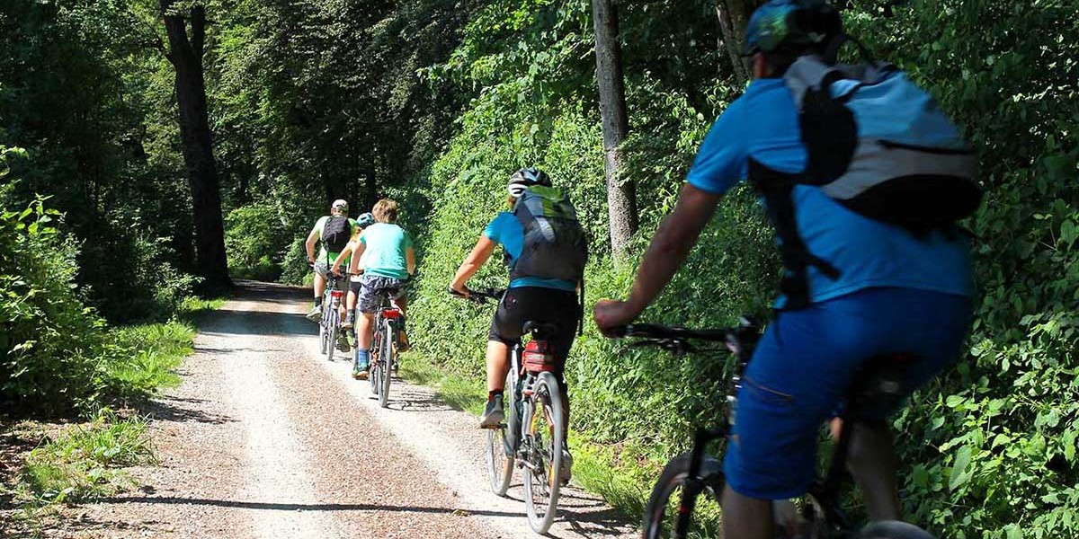 ramboll_fi's tweet photo. #Pyörämatkailu'n suosio kasvaa vauhdilla. 🚵 Mitä mahdollisuuksia pyöräilybuumi tarjoaa kunnille ja yksityisille toimijoille? @pyoraliitto #pyöräilytalvi-podcastissa keskustelemassa asiantuntijamme Kari Hillo. Tarjolla myös vinkkejä pyöräilykohteista! 

https://t.co/AcymBIDSjG https://t.co/8S9p2Zx3FW