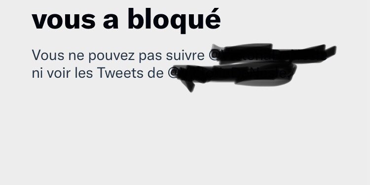 Ooops j’ai encore vexé quelqu’un 🤨😂 vivement les nouvelles règles Twitter 🤫🤭🤐😚. En même temps quand on ne sait pas débattre faut pas s’attendre à une lumière . #fake