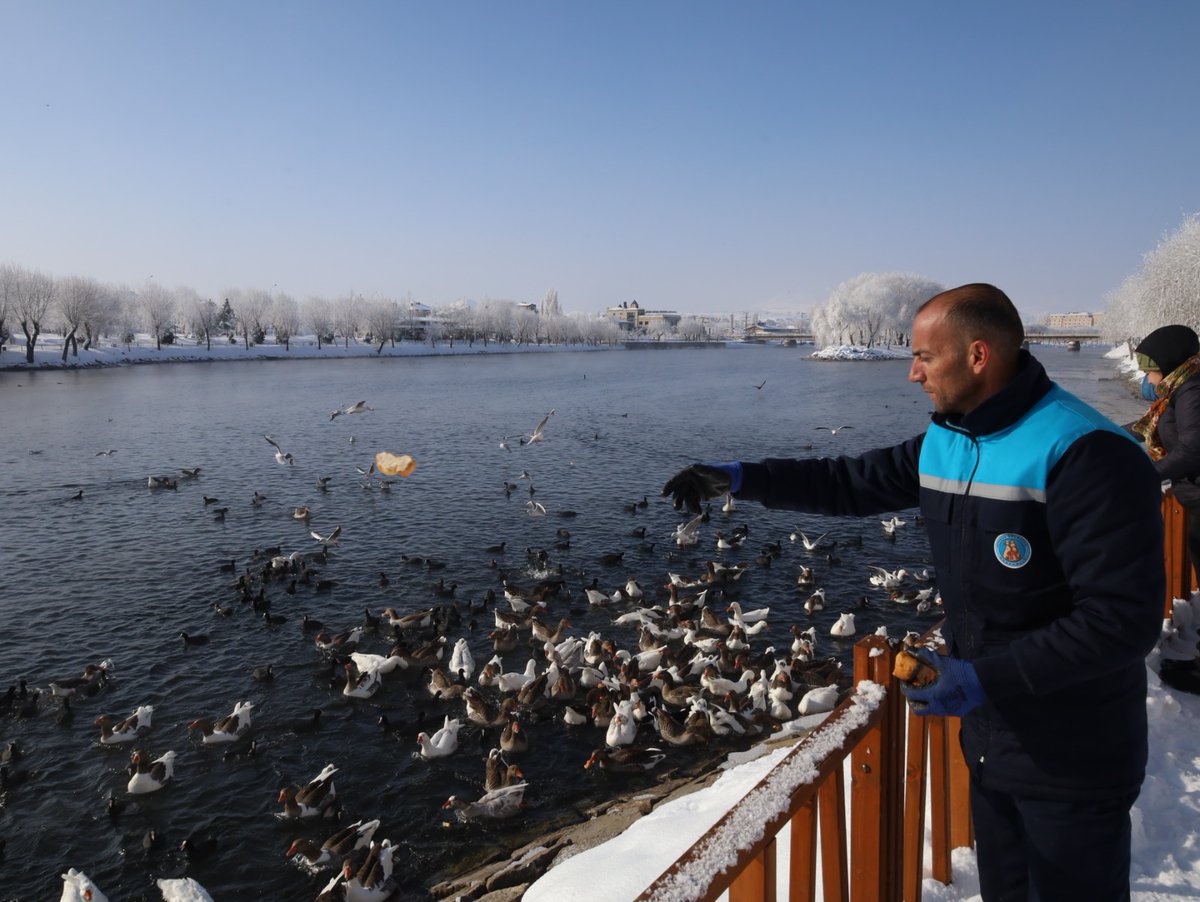 AvanosBld's tweet photo. Avanos’un sevimli maskotlarını unutmuyoruz. 🦢🦆

📍Temizlik İşleri Müdürlüğü ekiplerimiz zorlu kış koşullarında yiyecek bulmakta zorlanan kazlar ve ördekler için yiyecek bıraktı. https://t.co/iwLTaCAowL