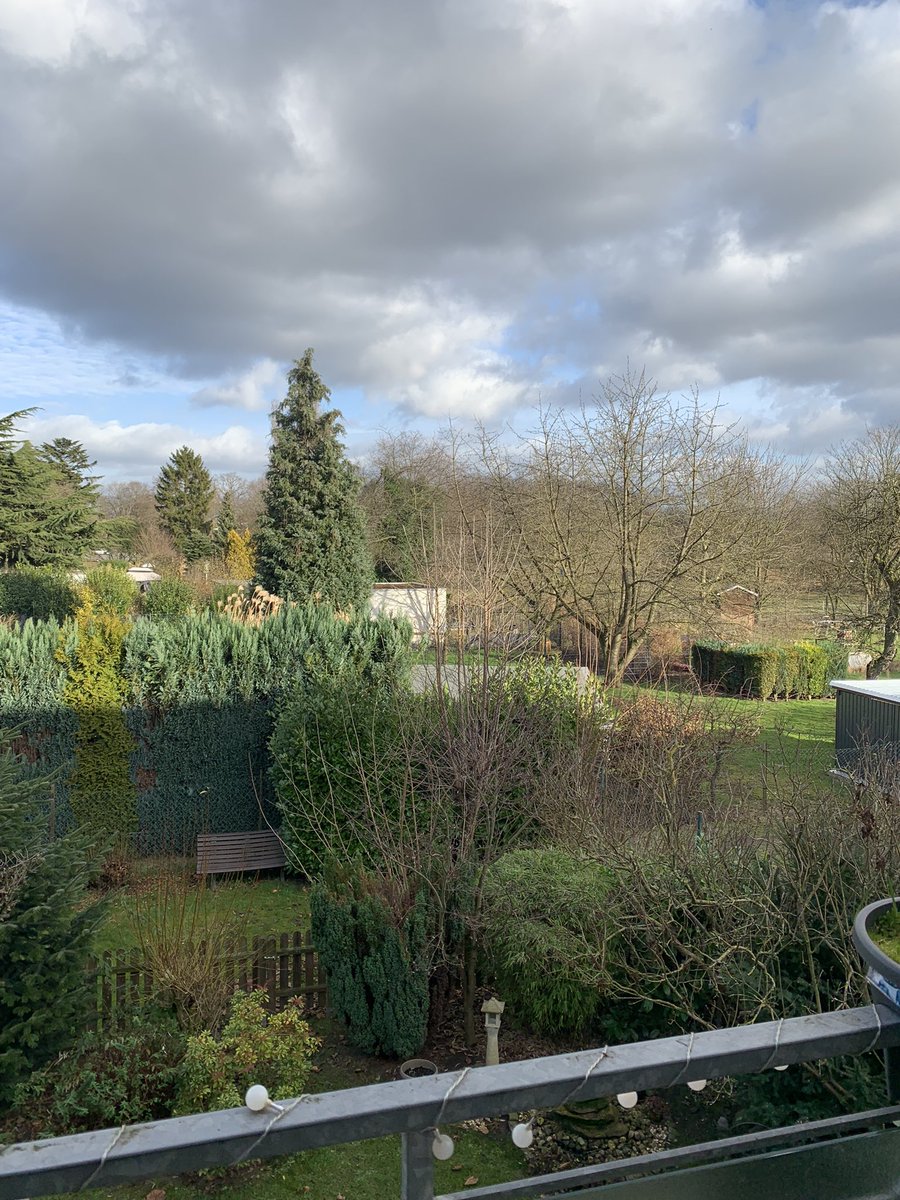 YouNeedSoks's tweet photo. Die Sonne ist mal wieder da ☀️☀️
#sun #twitchstreamer https://t.co/r3sOOOteM3