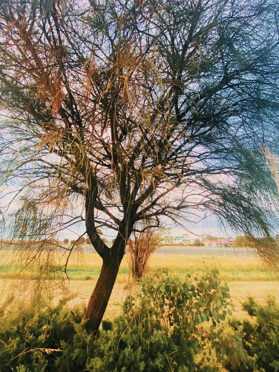 mirzza1's tweet image. Why do you stay in prison when the door is so wide open. You were born with wings, why do you prefer to crawl through life?

– Rumi