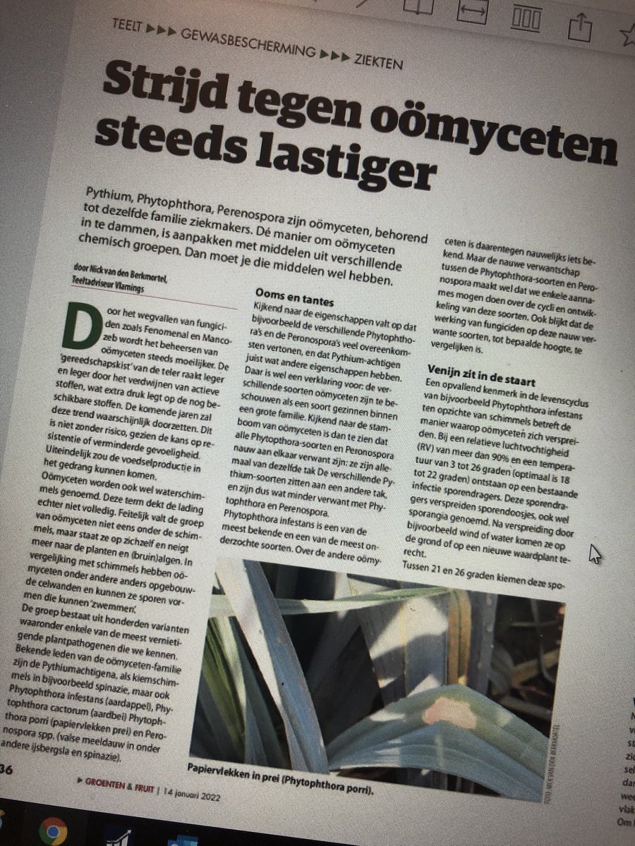 NBerkmortel's tweet photo. Voor Groenten&amp;Fruit een artikel mogen schrijven over de beheersing van oömyceten. Interesse? Nr. 1 van 2022 (14 jan) 🥬 🧅 https://t.co/zZfMQttLZB