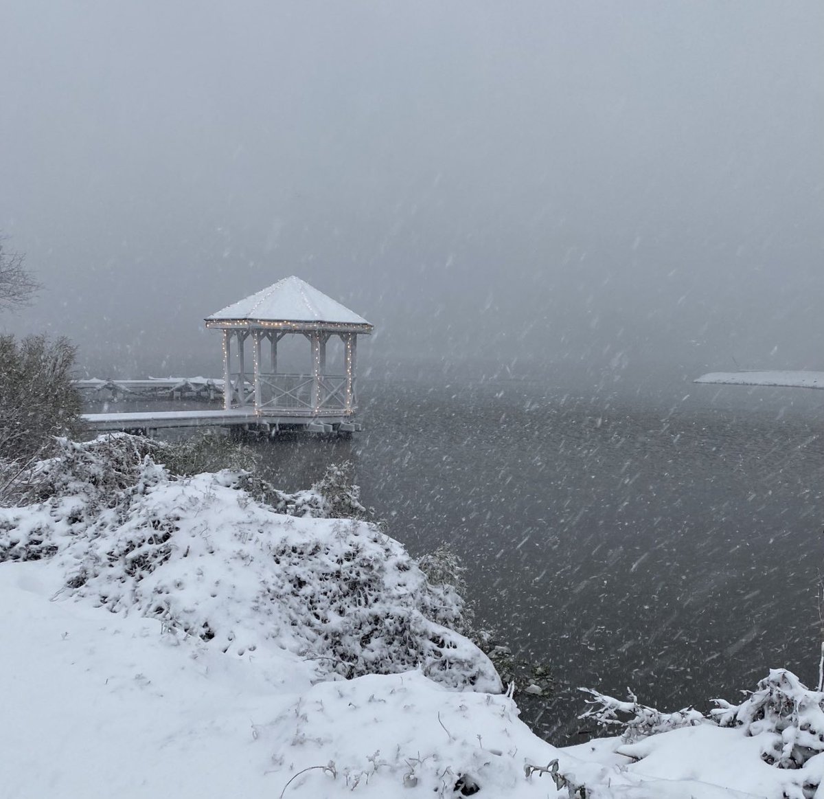 It’s on its way again.  I love how snow makes it’s quiet sound and blocks out the background noise.  #snowday #findyourpark #quiettime #naturespoetry #writersCommunity #writersLife #amwriting