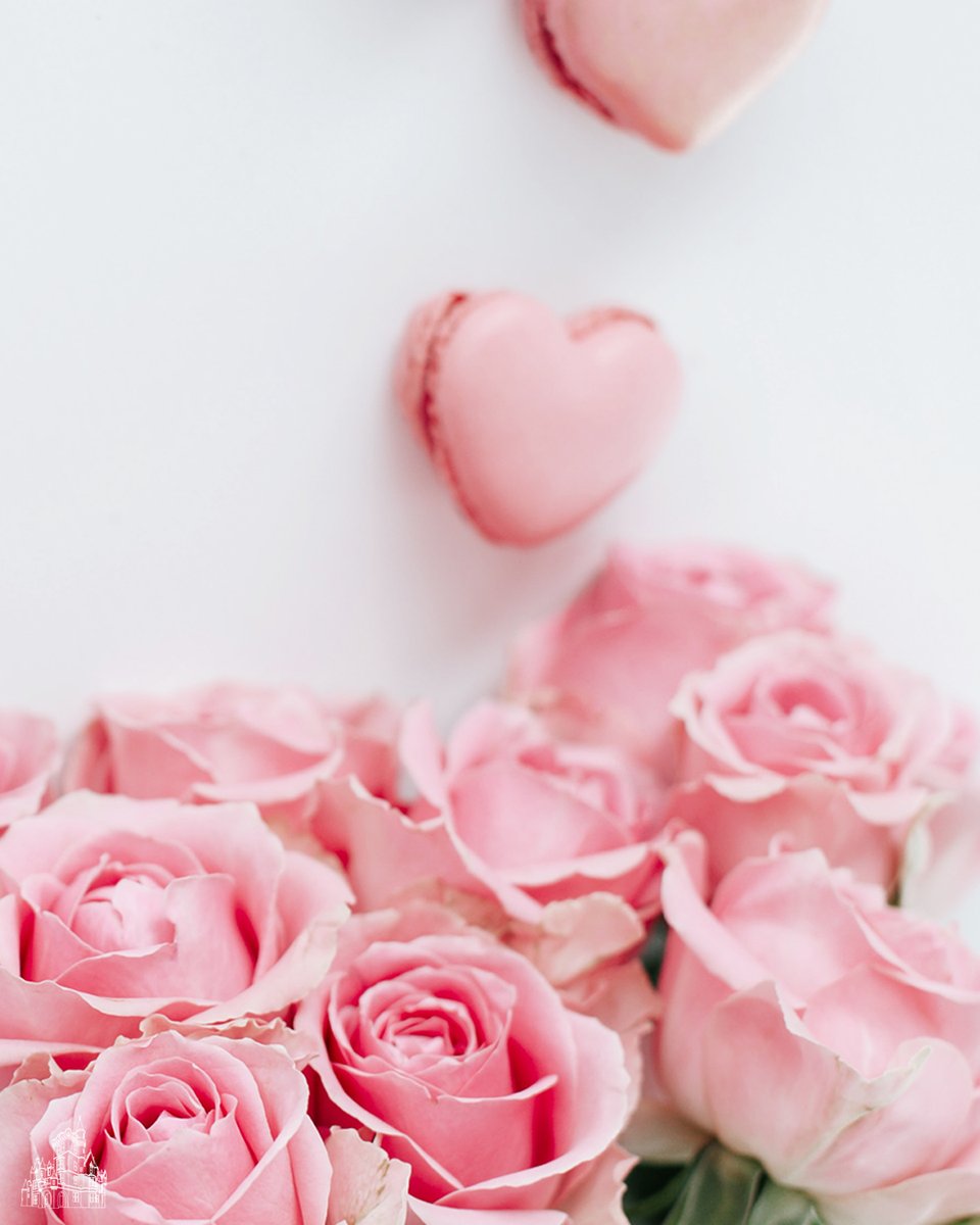 From 7 course menus and truffles, to fresh cut roses and pink Prosecco, our Valentine’s Day packages are perfect for a special one night getaway (or even just an afternoon for tea ☕️💕) Book now: bit.ly/3o5N8KF #ArdoeHouse