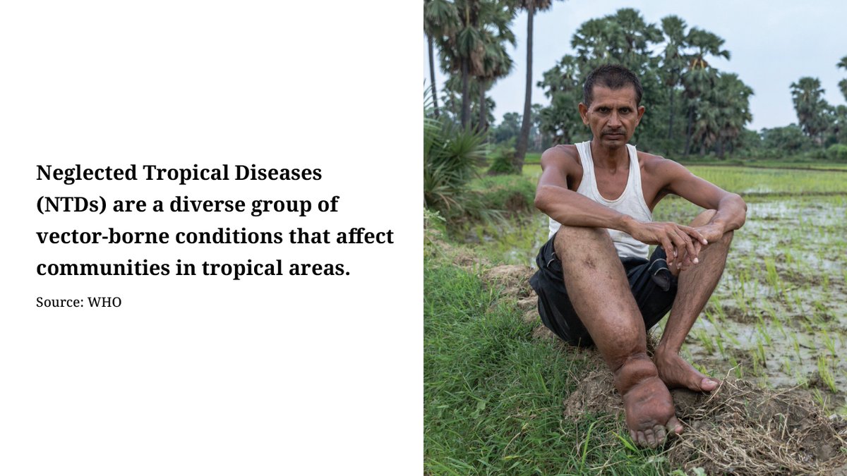Gates Foundation India (@bmgfindia) on Twitter photo Did you know that #NTDs can be prevented by ensuring:
✔️Clean drinking water
✔️Proper sanitation
✔️Good hygiene
Know more: bit.ly/3421ch0 <a href="/NTDFreeIndia/">NTD Free India</a> <a href="/GHS/">Global Health Strategies</a> #EndTheNeglect Did you know that #NTDs can be prevented by ensuring:
✔️Clean drinking water
✔️Proper sanitation
✔️Good hygiene
Know more: bit.ly/3421ch0 <a href="/NTDFreeIndia/">NTD Free India</a> <a href="/GHS/">Global Health Strategies</a> #EndTheNeglect