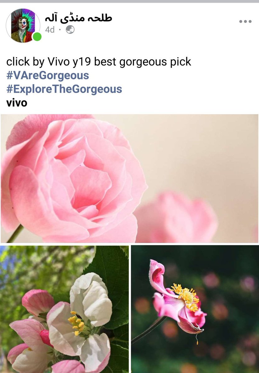 Vivo y19 click 
#VAreGorgeous 
#Explorethegorgeous 
@vivopakistan 
#VivoV23Series