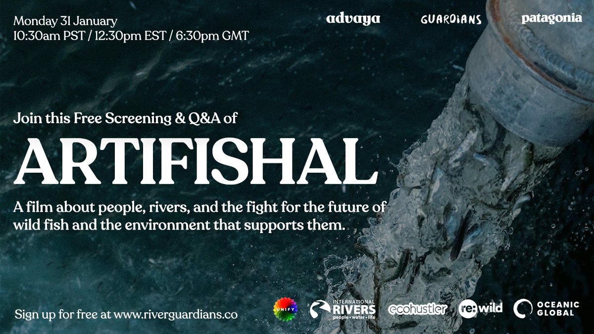 Oceanic Global tweet media