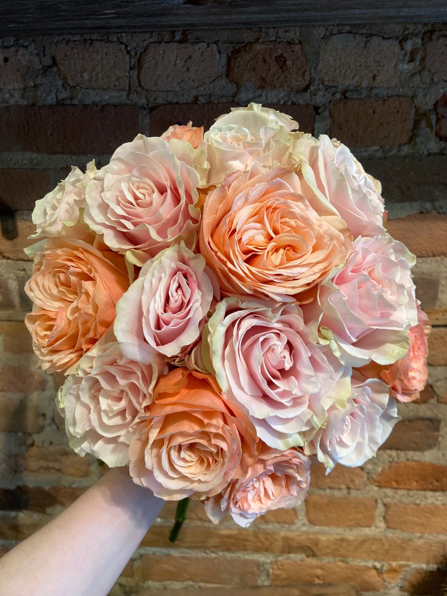 Valentine’s day is coming up fast! Are you ready to spoil your sweetheart?

ecostems.ca/blog/vdaygetre…