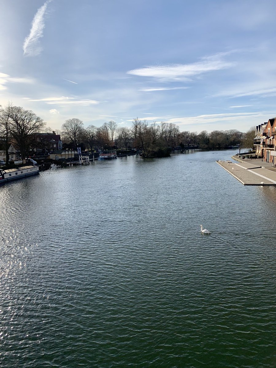 A beautiful day in Windsor ☀️