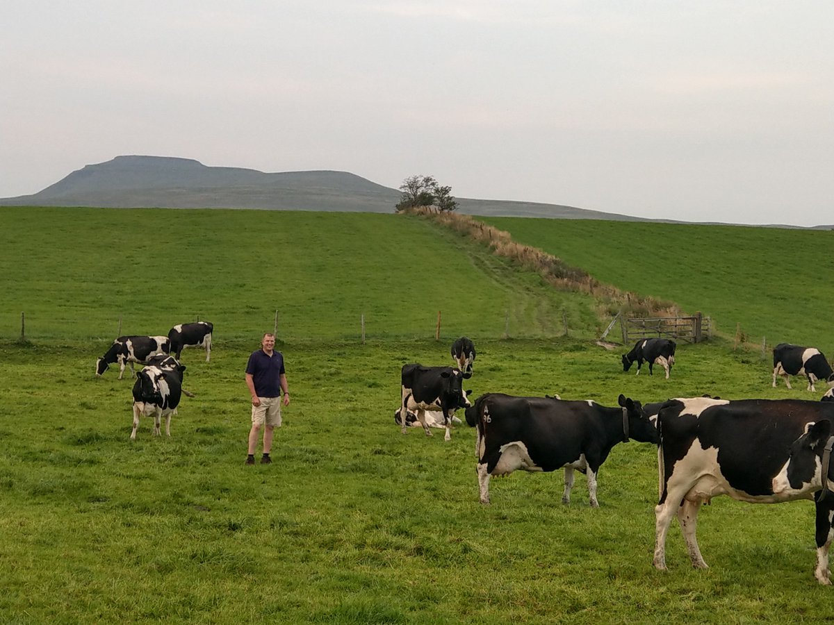 Farmer Focus: J Bargh &amp; Son, Bentham, Lancaster.

The Greystonegill pedigree herd of Holsteins and British Friesians have been milk recording with CIS for eight years with support from CIS Area Manager Sandra Atkinson.... 
thecis.co.uk/news/james-bar…
