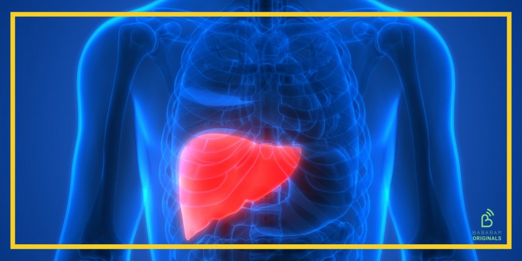 Le foie est l'un des l'organes les plus importants du corps humain du fait qu'il soit tout le temps stimulé. Qu’est-ce que le foie ? La réponse ici 👉 bit.ly/3udLWc9
#foie #sante #corphumain