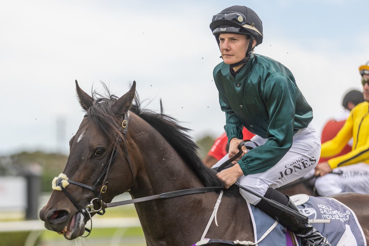 Racing SA (@racingsa) on Twitter photo Great run from He's A Balter to secure second in his first start at <a href="/RacingDubai/">Dubai Racing Club</a>!
Solid start from the <a href="/Clarken_Racing/">Clarken Racing</a> crew and <a href="/cjones151290/">Caitlin Jones</a> at Meydan 🇦🇺 Great run from He's A Balter to secure second in his first start at <a href="/RacingDubai/">Dubai Racing Club</a>!
Solid start from the <a href="/Clarken_Racing/">Clarken Racing</a> crew and <a href="/cjones151290/">Caitlin Jones</a> at Meydan 🇦🇺