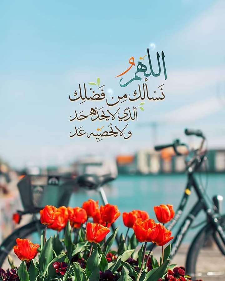 اُمْنِيَه✨ tweet media