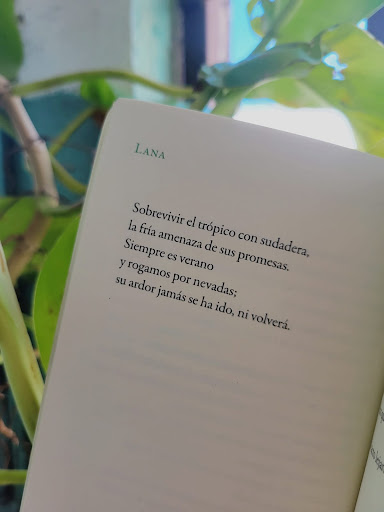 ProyectoLitPR's tweet image. Ultramar (2015)

Rubén Ramos 

#PLPR