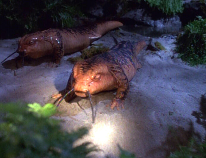 On 29th January 1996, 'Threshold', the Star Trek: Voyager episode where Captain Janeway and Tom Paris turned into giant space newts and had babies first aired. In advance of #ThresholdDay we aim to answer a burning question: did Paris and Janeway fuck? If so, how did they fuck?