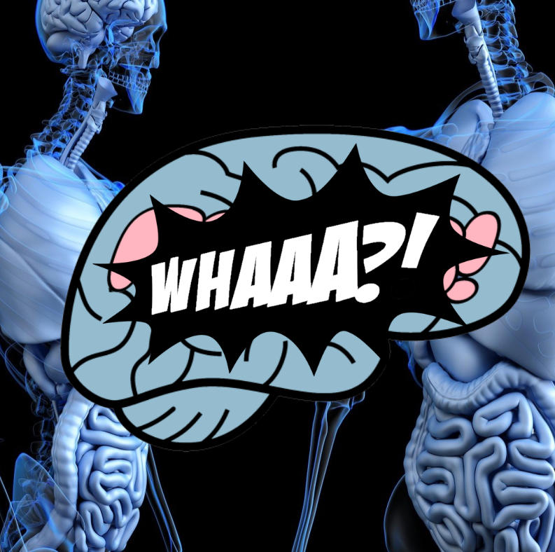 BrainOnFactspod's tweet photo. #flashbackfriday - Papa Had a Rolling Stone -
Voted on by https://t.co/LTeKYmnuzO, we present an episode on weird things your body could be doing ... right now... and you don't even know about it!
https://t.co/olR1XTUmdH
#ybof #yourbrainonfacts #moxiemillion https://t.co/6KYUNEstTA