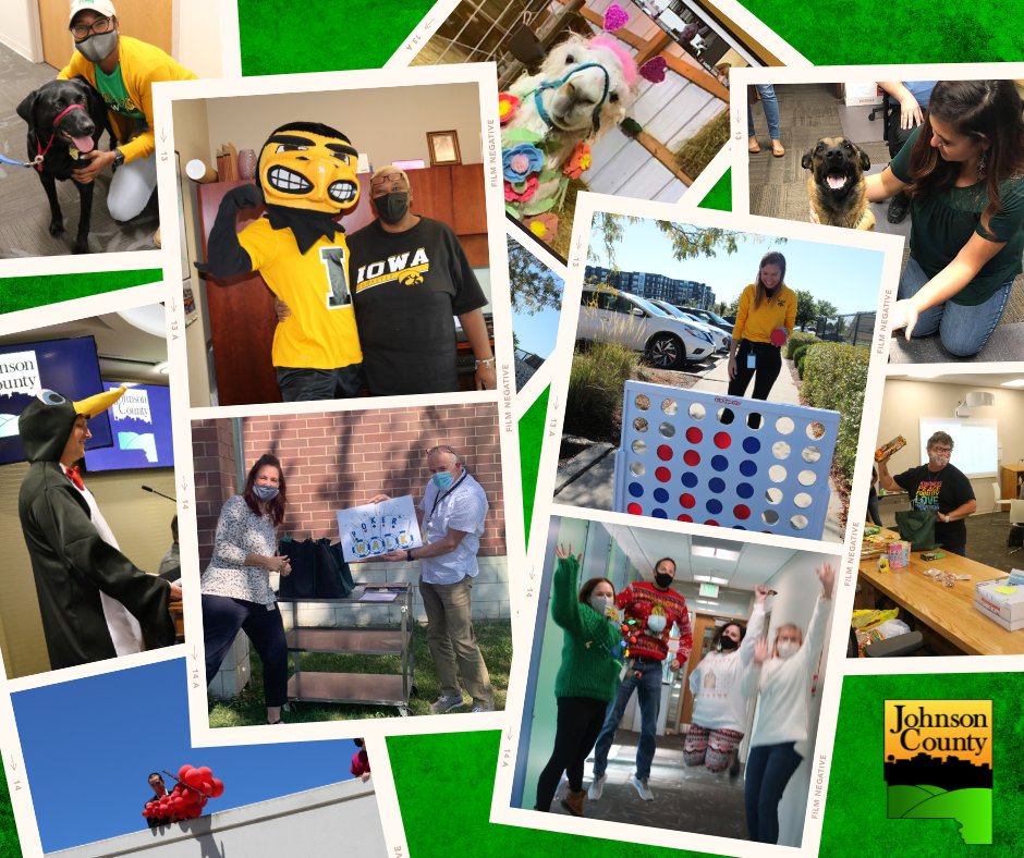 JohnsonCountyIA's tweet image. From llama zoom bombs and poker walks to Herky visits and Welcoming Week, our internal employee committees keep work at #JohnsonCountyIA fun and engaging. #NationalHaveFunAtWorkDay
