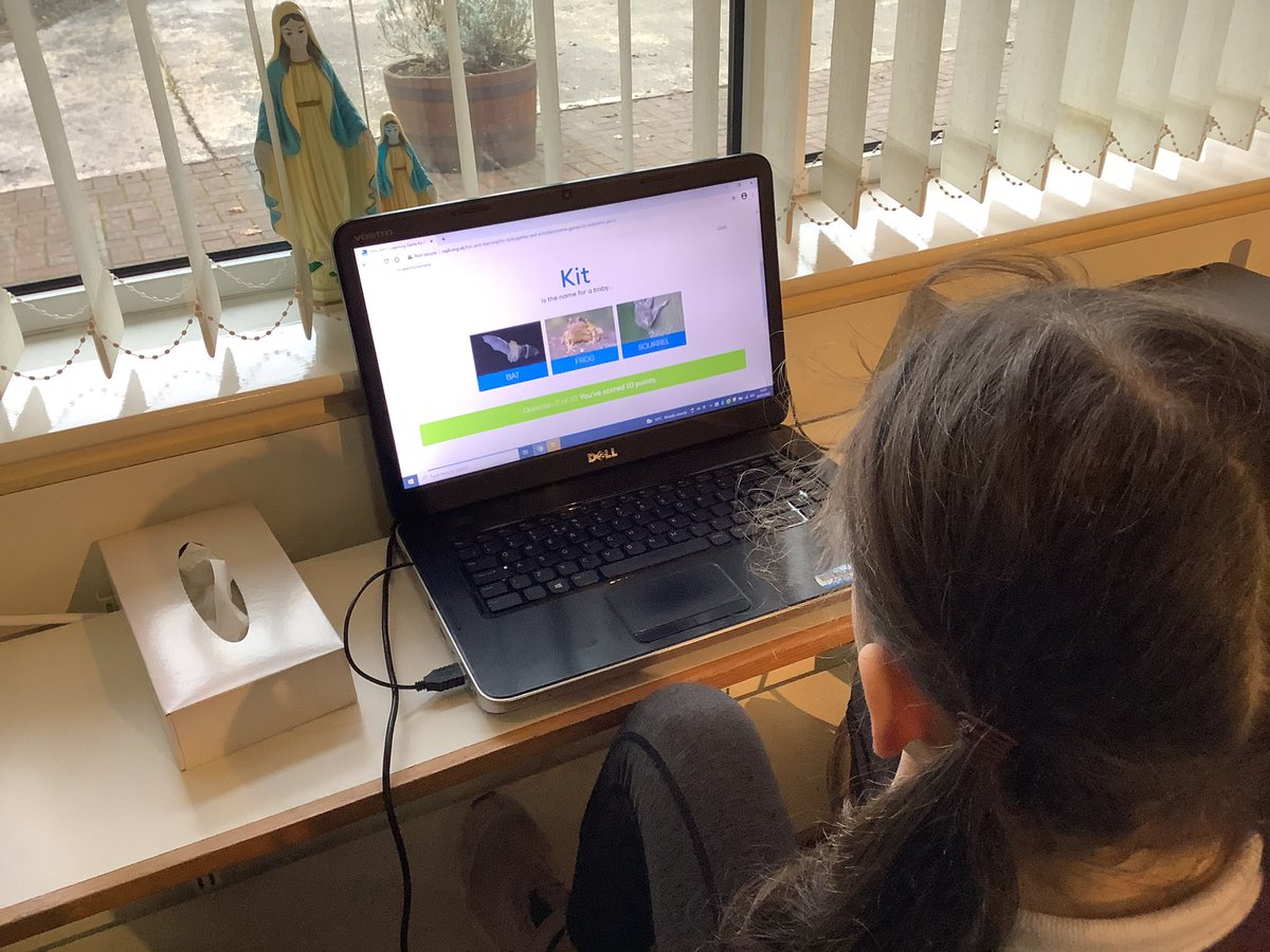 stfaghks1's tweet photo. @Natures_Voice @RSPBNI @RSPB_Learning @AntrimLens We are certainly looking forward to it! P4 love all the games on your website too. https://t.co/rh8mzagQmC