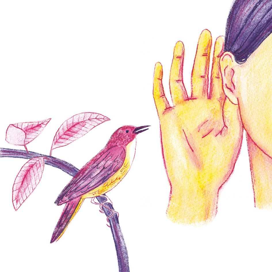 #whisper 🐦💚🎼

[illo di @sara_illustrator ]